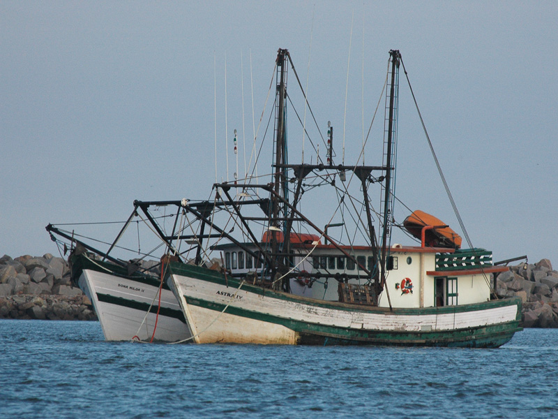 Fischerei Brasilien
