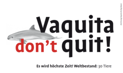 Projekt SOS Vaquita don't quit Phocoena sinus Vaquitas