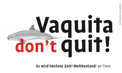 Projet SOS Vaquita don't quit Phocoena sinus Vaquitas