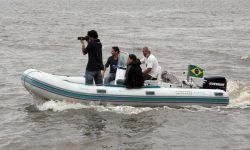 Lista de desejos Loja Projetos Bottlenose Dolphin Brazil Boat