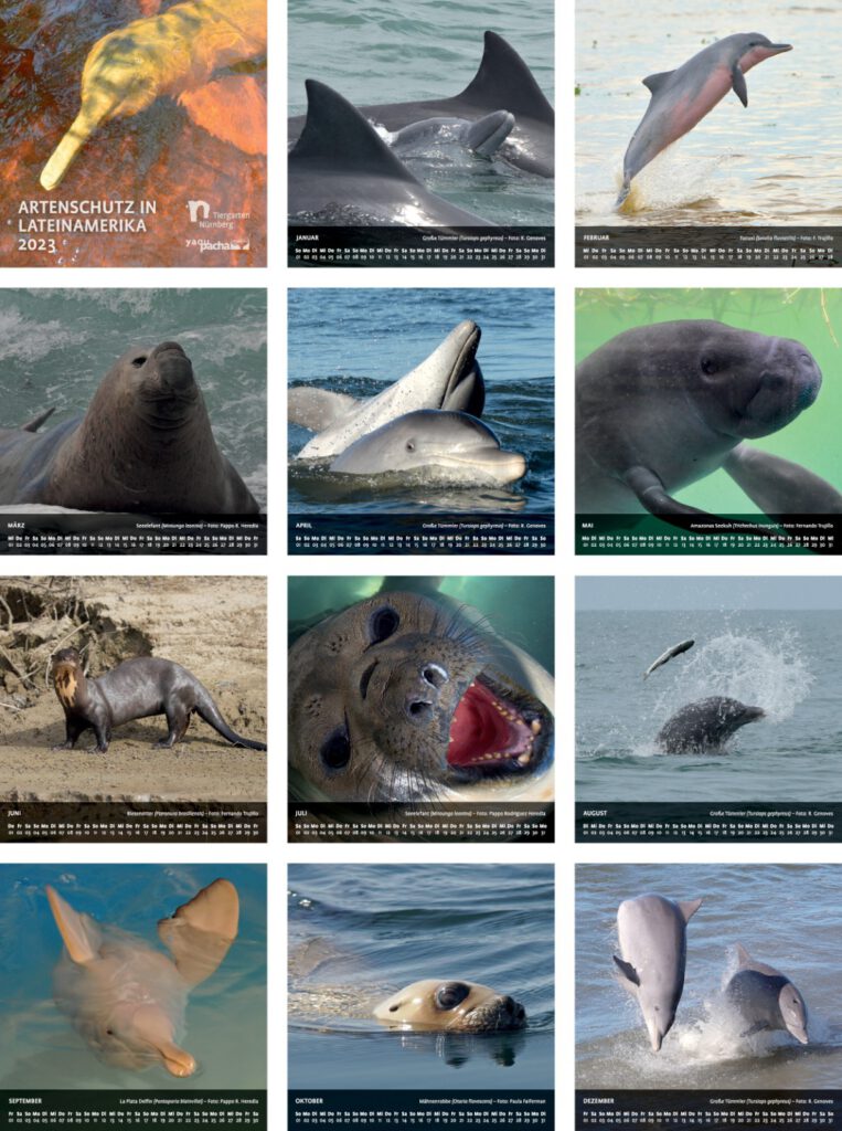 YAQU PACHA calendar 2023 species protection organization dolphins South America