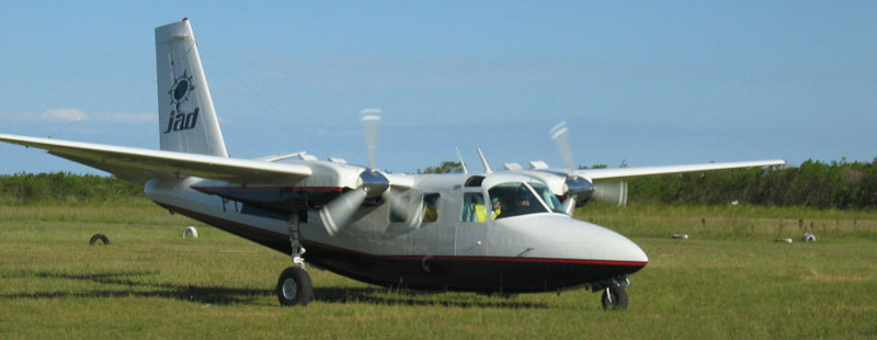 Avion Comptage de vols La Plata Dauphin franciscana Pontoporia blainvillei plane