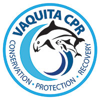 Projet Vaquitas VaquitaCPR