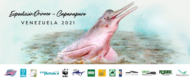 Projeto Golfinho da Amazônia Inia geoffrensis Proyecto Sotalia Venezuela Conservação dos Golfinhos
