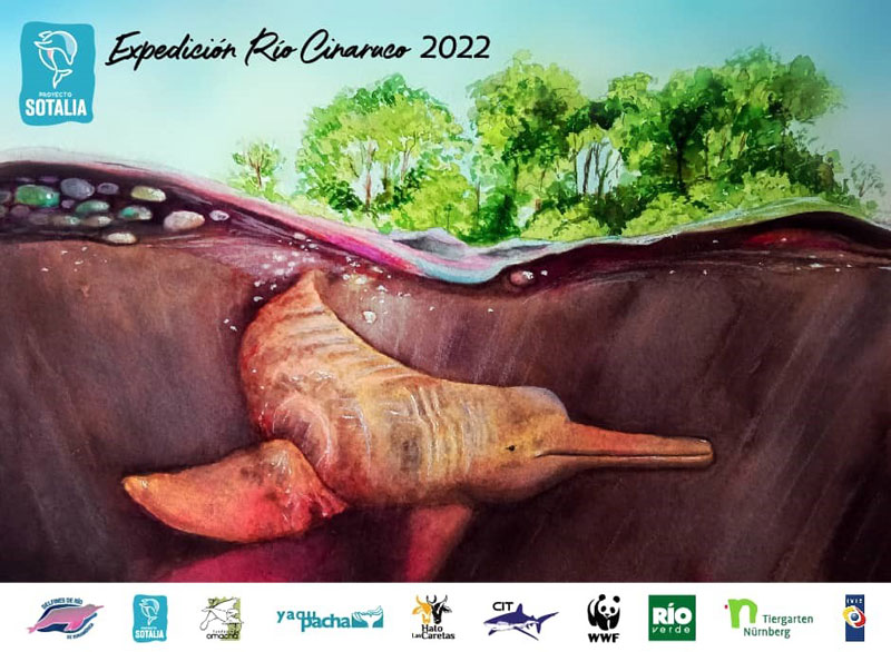 Projeto Golfinho da Amazônia Inia geoffrensis Venezuela Conservação das Espécies Dolphin Conservation Dolphin Conservation