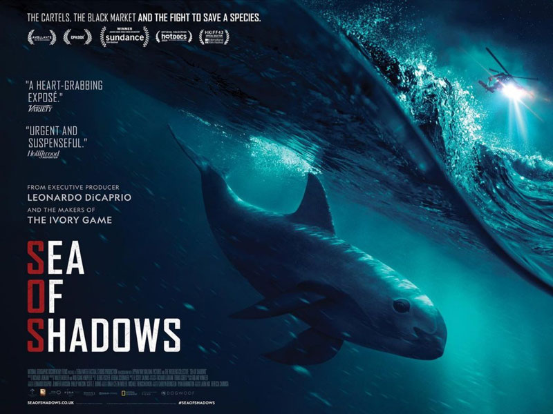 Sea of Shadows 