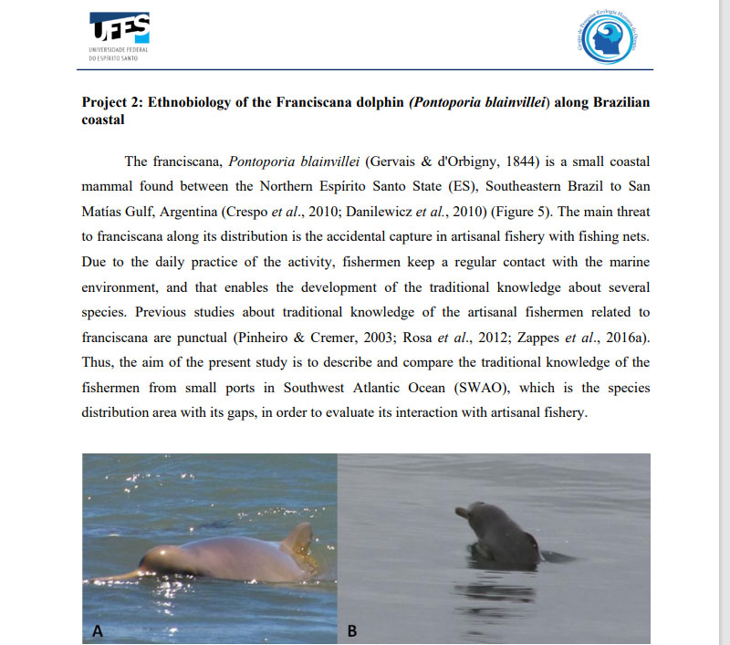 Informe Brasil Delfín franciscana Ecologia Humana do Oceano