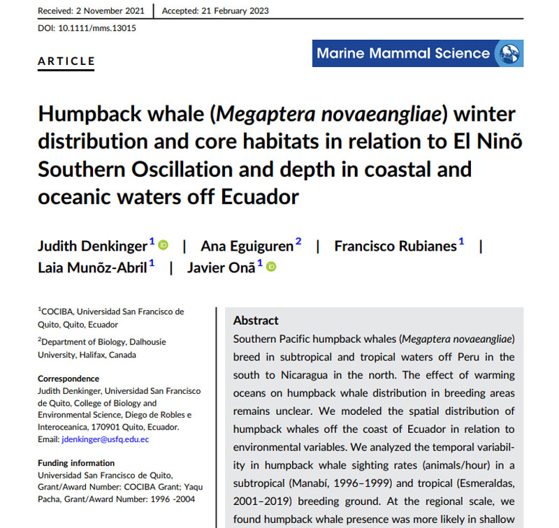 Article baleines à bosse Humpback whale Ecuador Judith Denkinger