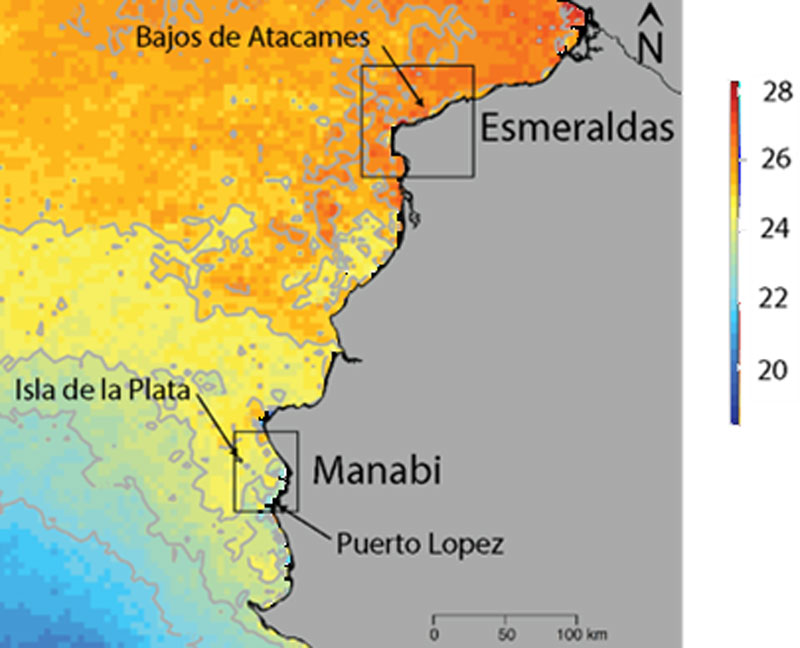 Área de Criação de Baleias Jubarte Equador Esmeraldas Manabi