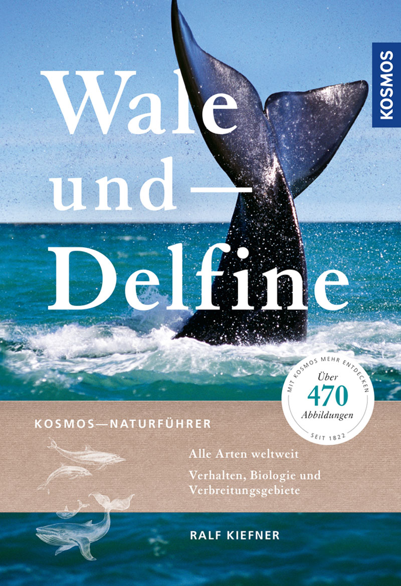 Livro de Baleias e Golfinhos Ralf Kiefner