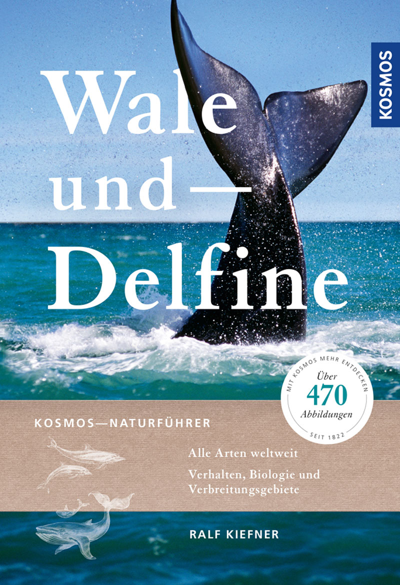 Livro Whales and Dolphins (Baleias e Golfinhos) Ralf Kiefner