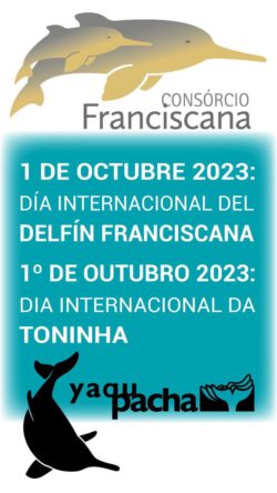 Día Internacional del Delfín Franciscana dia da toninha pontoporia blainvillei la plata dolphin