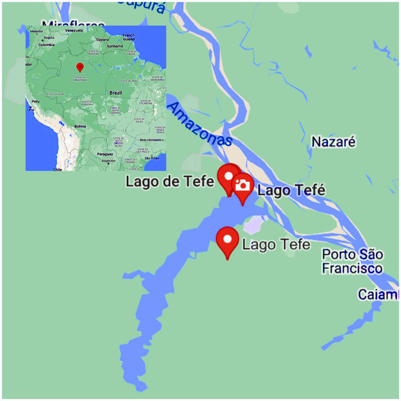 Carte Map Lago Tefé Brésil Amazonas