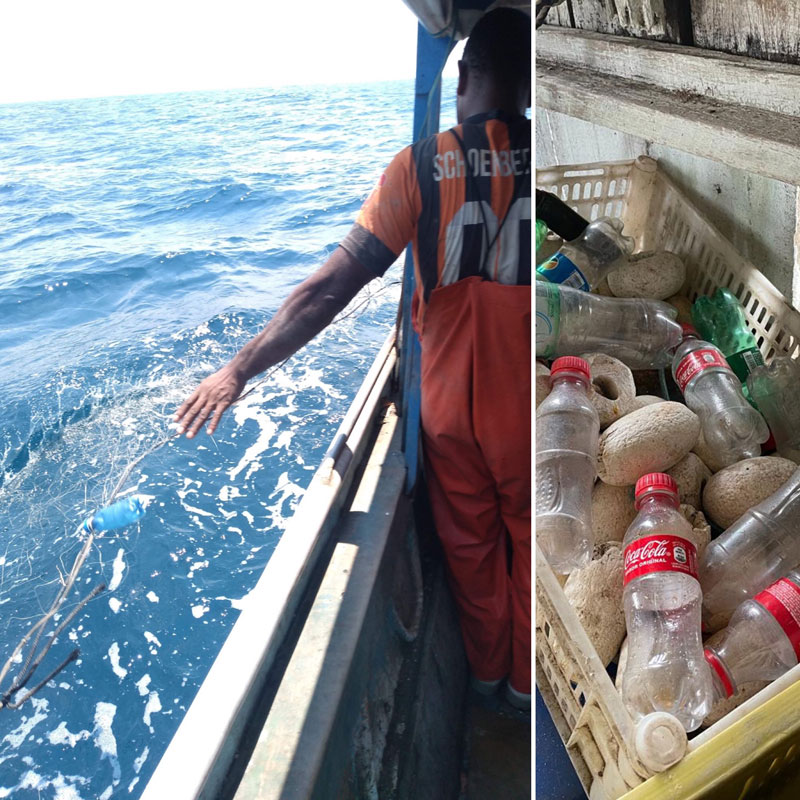 botellas pet fischer brasil toninha pesca bycatch