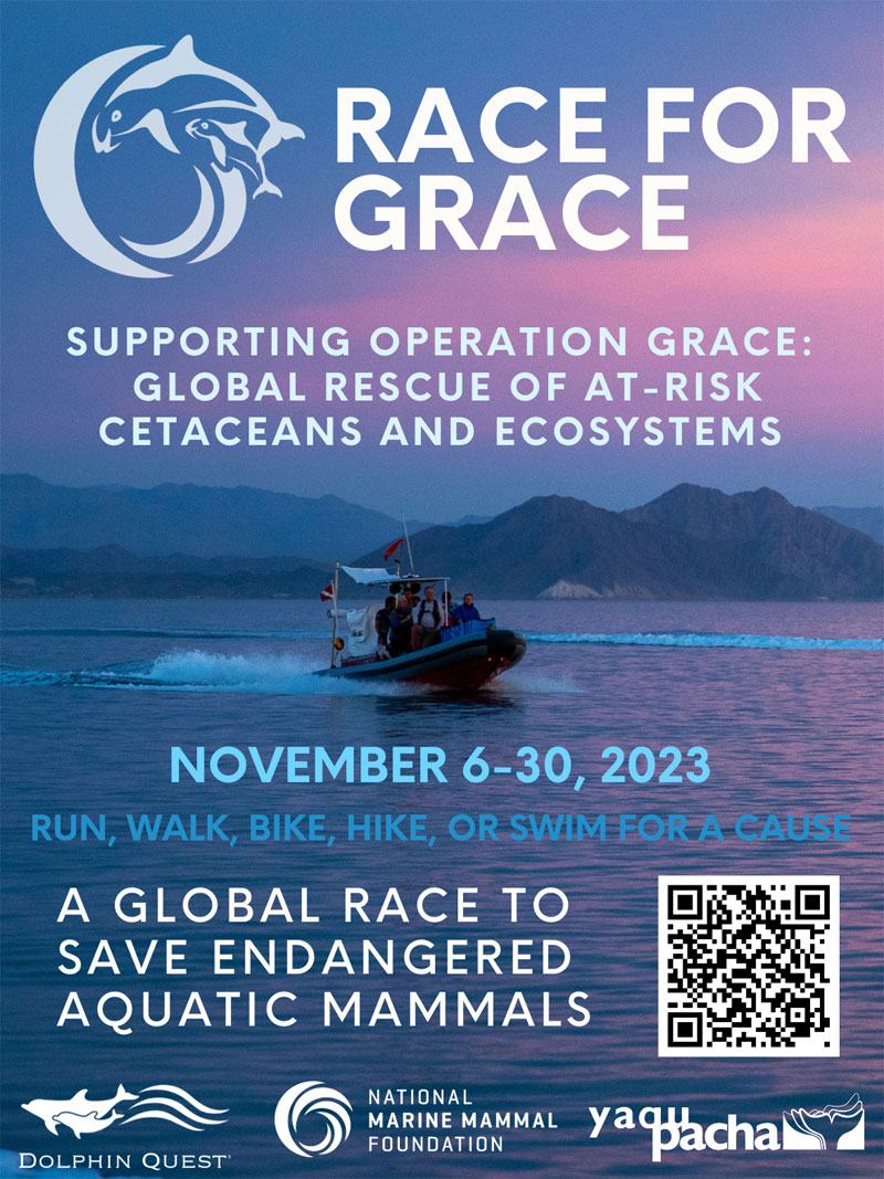 Race for Grace national marine mammal foundation nmmf mamíferos aquáticos dolphin quest yaqu pacha