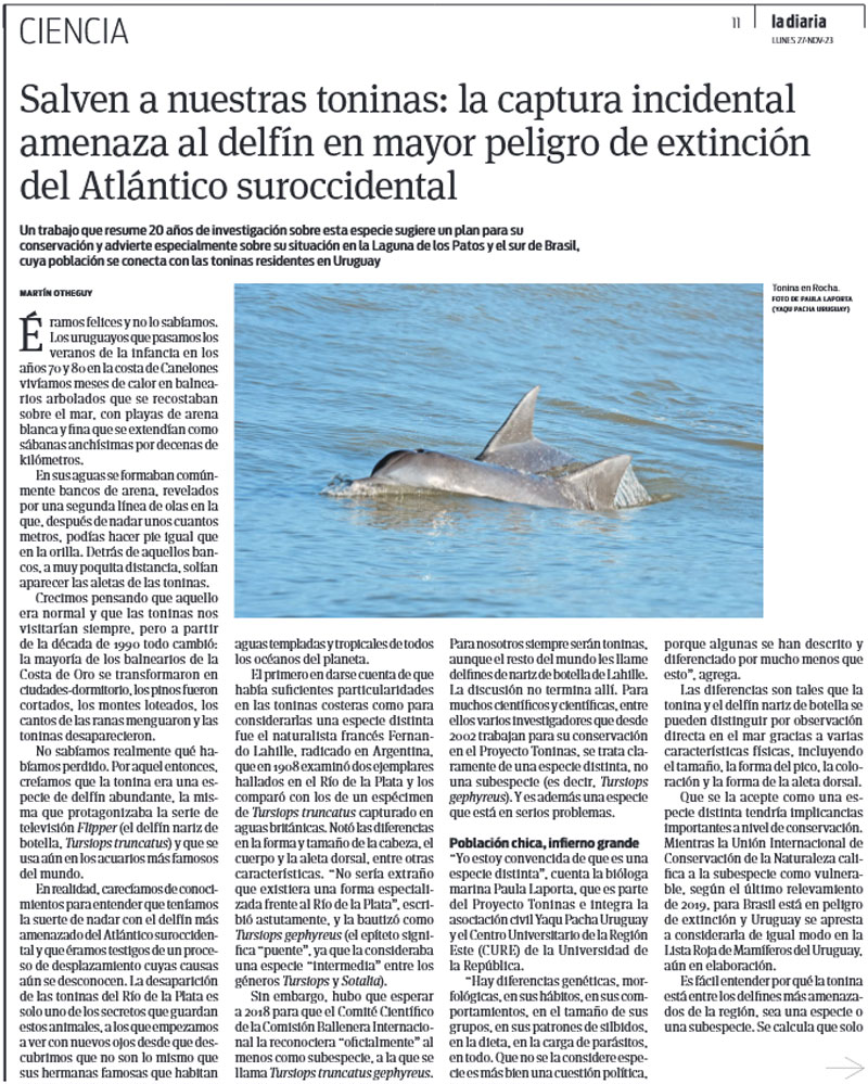 la diaria toninas delfin delfine lahille Tursiops gephyreus brasilien uruguay