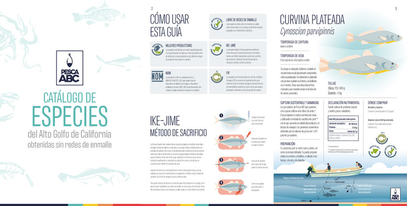 Menos redes de enmalle, más oportunidades para la vaquita marina, Secretaría de Medio Ambiente y Recursos Naturales, Gobierno