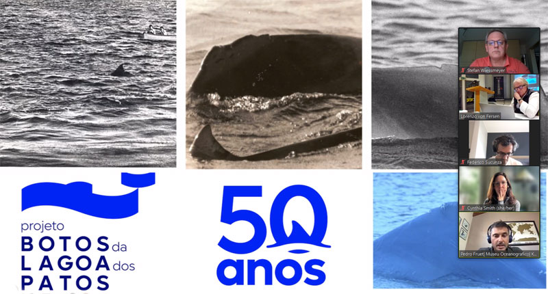 50 anos projeto botos da lahille delfines tursiops gephyreus