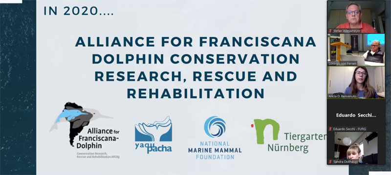 alliance for franciscana dolphin