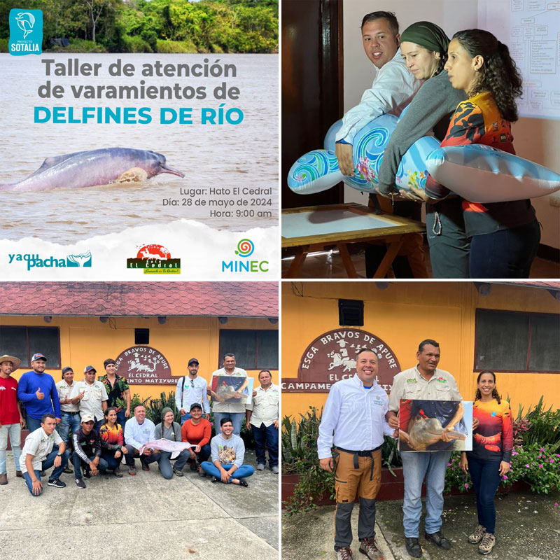 workshop taller inia geoffrensis venezuela proyecto sotalia dauphins de rivière