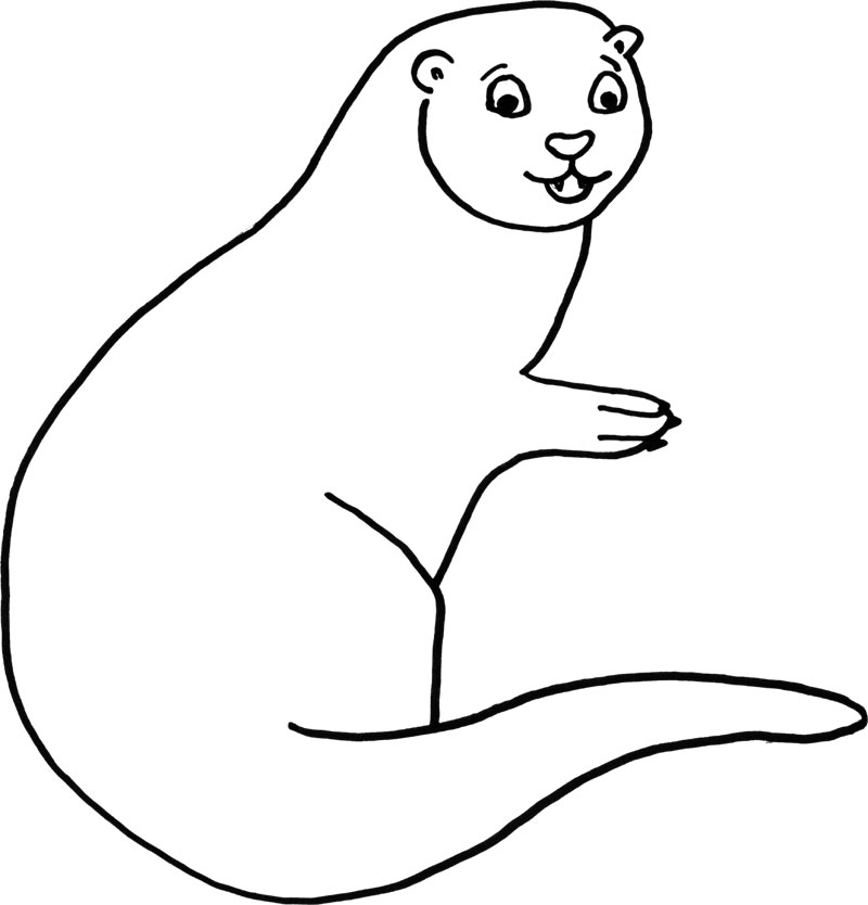 otter coloring page kids coloring picture