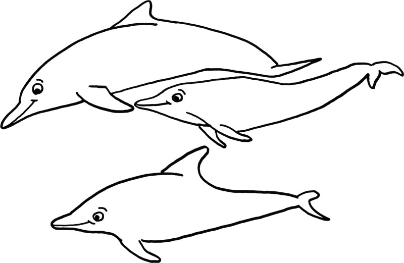 delfines marsopas página para colorear niños dibujo para colorear