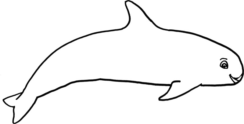 Vaquita para colorir imagem para crianças