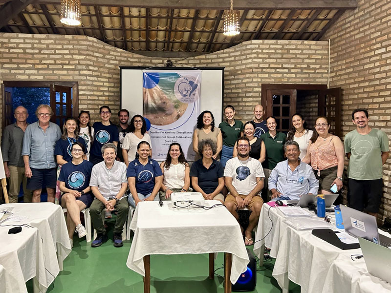 workshop caribbean manatee manatees manati manatees brazil alliance for manatees