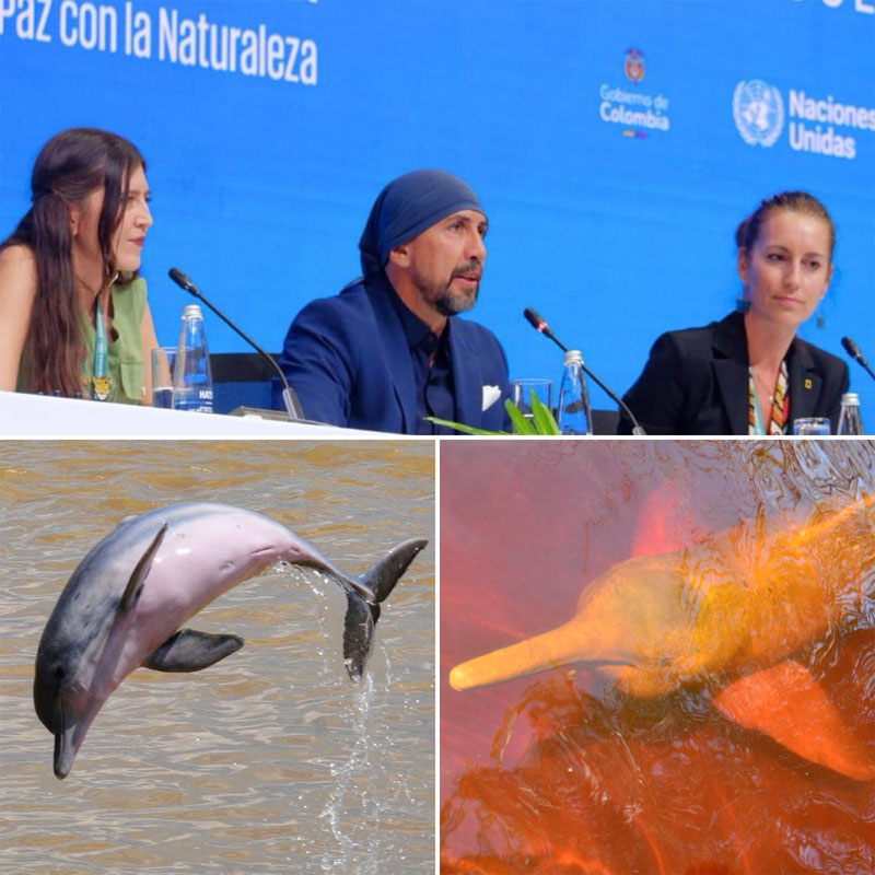 cop16 fernando trujillo omacha inia sotalia biodiversität artenschutz zukunft