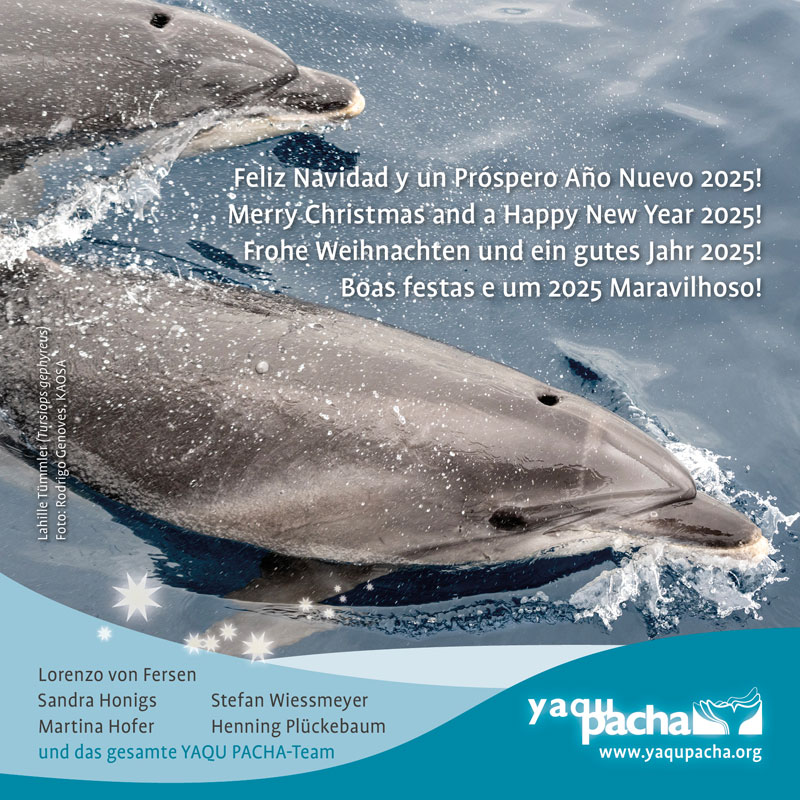 frohe weihnachten yaqu pacha merry christmas lahille tümmler bottlenose dolphin tursiops gephyreus feliz navidad feliz natal