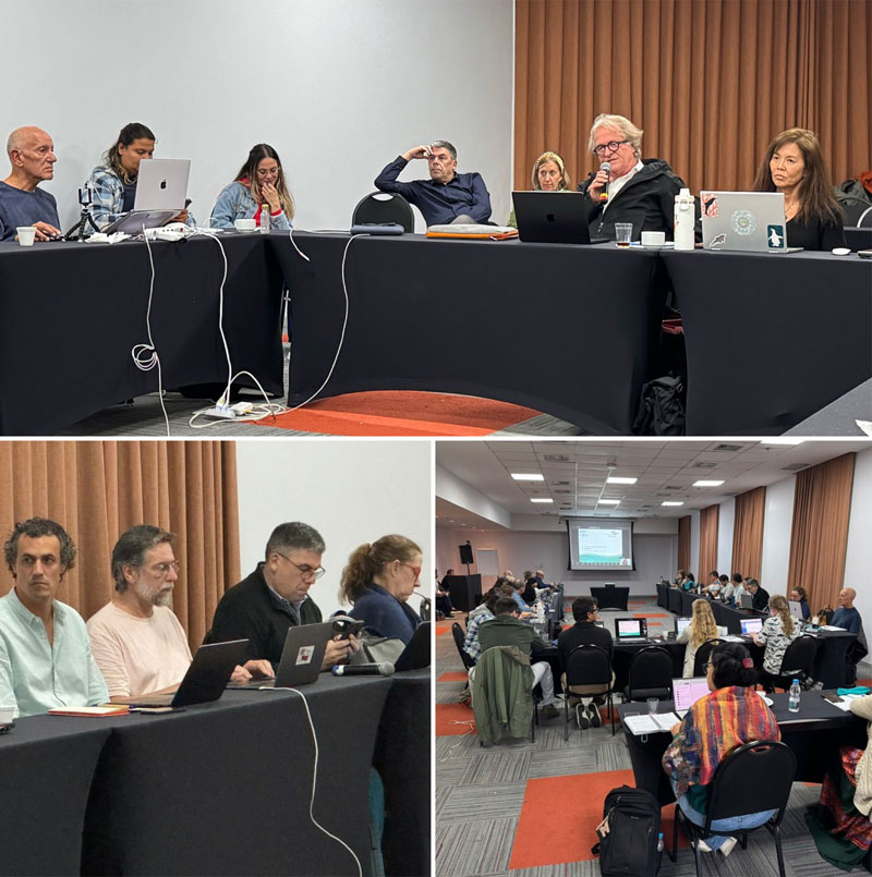 iwc workshop santos brazil brasil brasilien international whaling commission meeting cetaceans southamerica dr. lorenzo von fersen