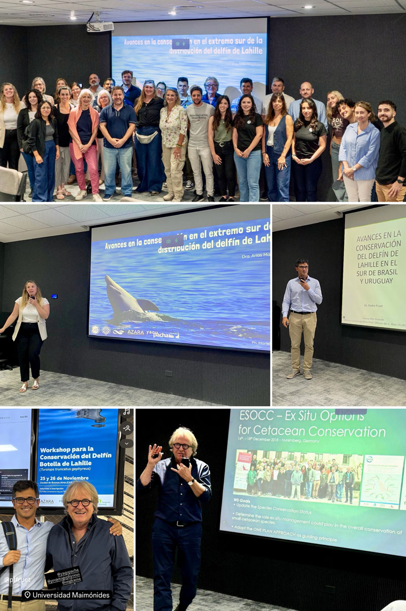 workshop tursiops gephyreus argentina taller lahille dolphin delfin argentinien