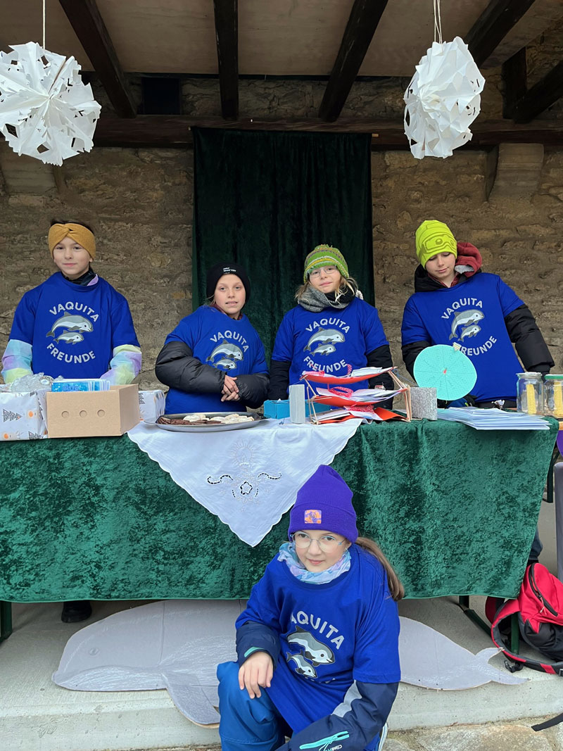 vaquita freunde wien vaquitas weihnachten spende donation weihnachtsmarkt