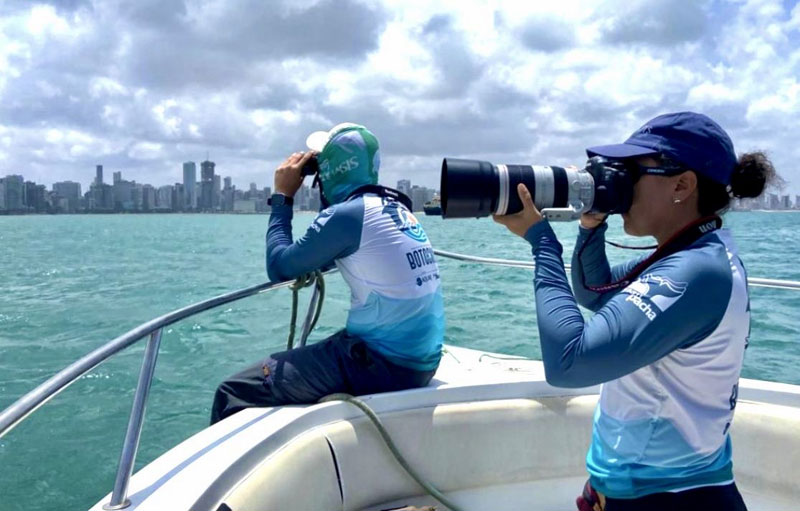 sotalia guianensis guiana delfin dolphin brasil brazil golfinhos