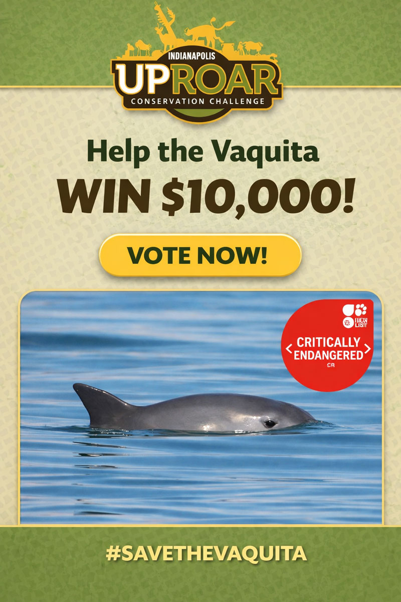 Vaquita Vote