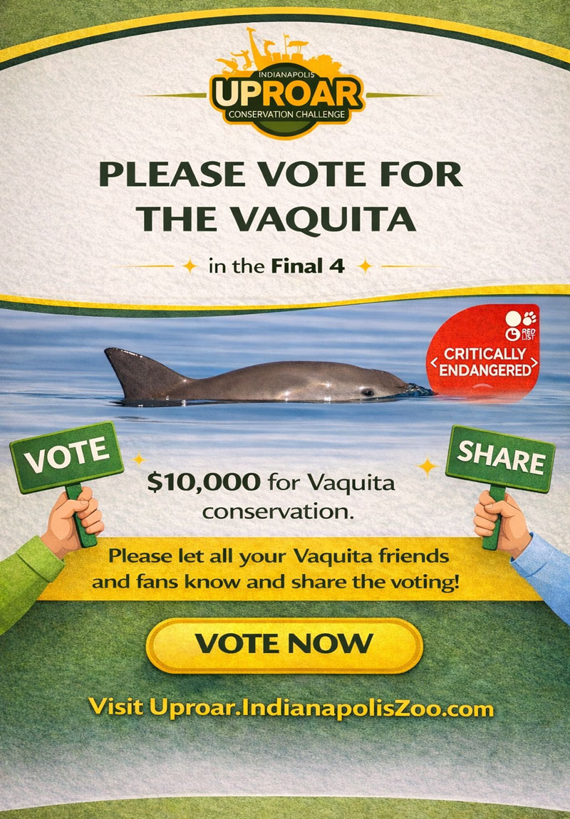 vaquita voting vote uproar indianapoliszoo endangered species