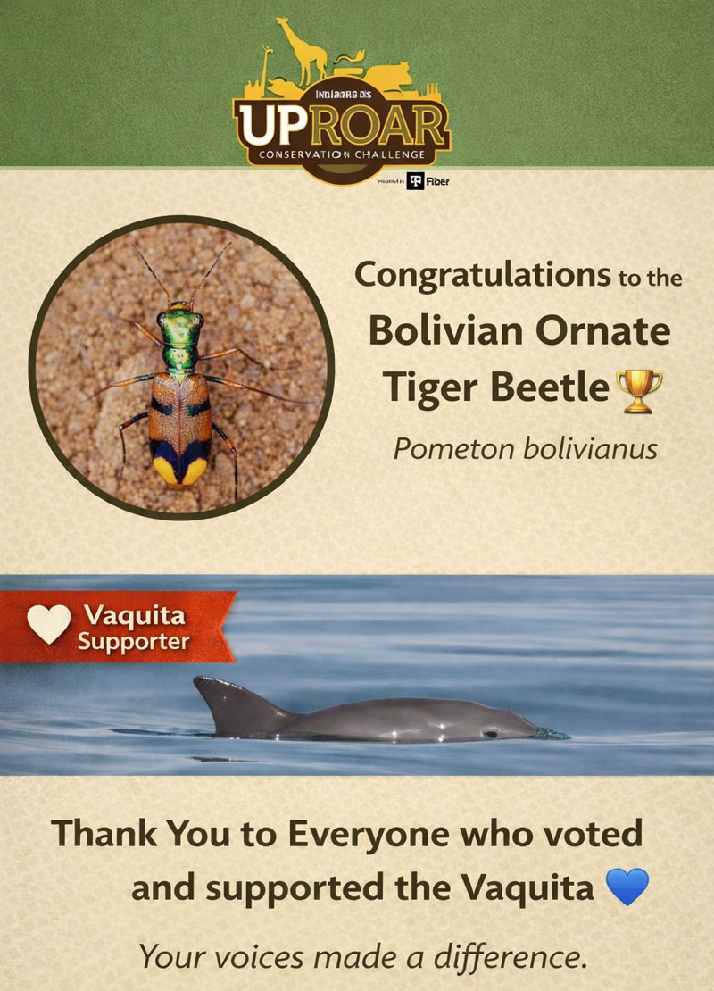 vaquita voting result save the vaquita