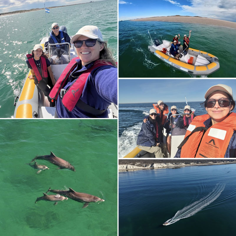 barco de pesquisa Argentina Azara Research Boat Tursiops gephyreus golfinho-nariz-de-garrafa golfinho-de-lahille