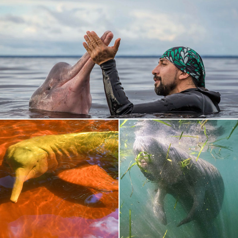 Fernando Trujillo Omacha, Inia Geoffrensis, Yaqu Pacha, Asamblea General Anual