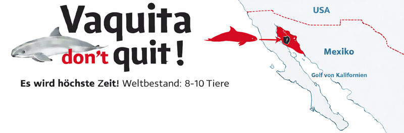 vaquita population don't quit weltbestand 8-10 Tiere vaquita distribution map zta