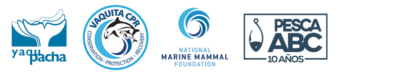 rescue conservation partner vaquita cpr national marine mammal foundation nmmf pesca abc mexico