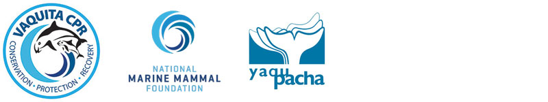 logos vaquita cpr national marine mammal foundation nmmf yaqu pacha vaquita partners 