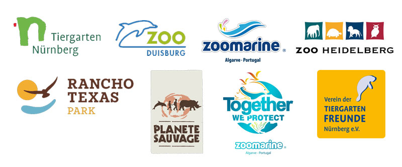 vaquita projekt project sponsoren tiergarten nürnberg zoo duisburg zoomarine algarve zoo heidelberg rancho texas planete sauvage verein der tiergartenfreunde nürnberg