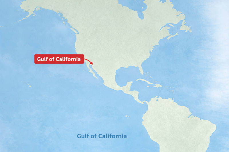 gulf of california map location