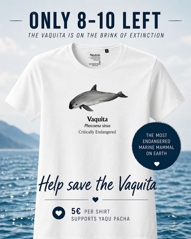 vaquita t-shirt shirt save the vaquita support