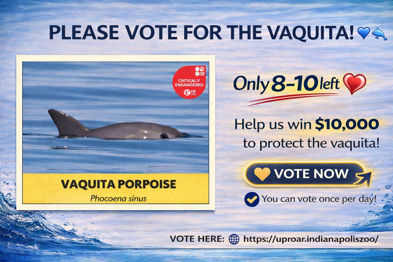 vaquita voting vote uproar indianapolis zoo