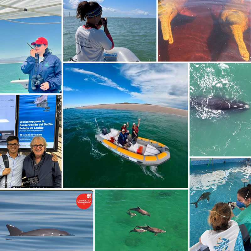 Boletín de Yaqu Pacha sobre la conservación de las especies en América Latina