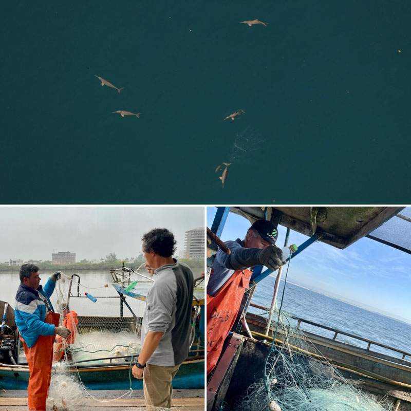plastic bottles fishing nets stop bycatch reduce franciscana delfin dolphin pet flaschen delfin-beifang