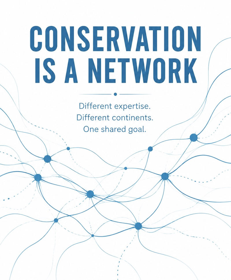 conservation is a network netzwerk artenschutz